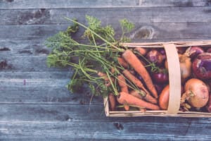 récoltes légumes du potager