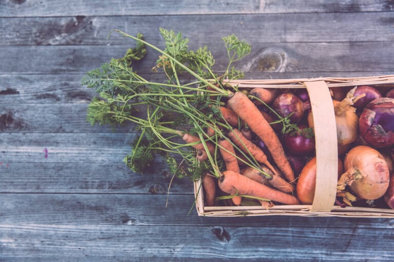 récoltes légumes du potager