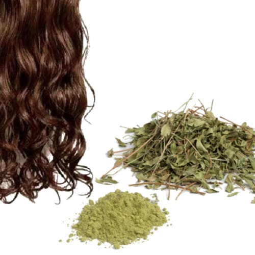 herbes pour shampoing pour cheveux colorés